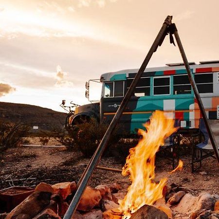 Camping At Desert Gardens Oasis In Lobo, Tx バン・ホーン エクステリア 写真