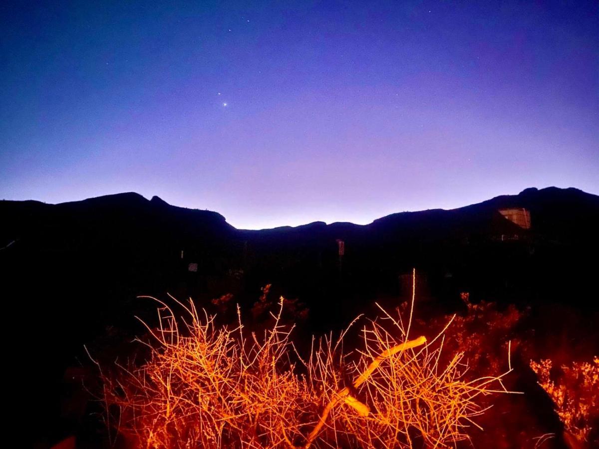 Camping At Desert Gardens Oasis In Lobo, Tx バン・ホーン エクステリア 写真