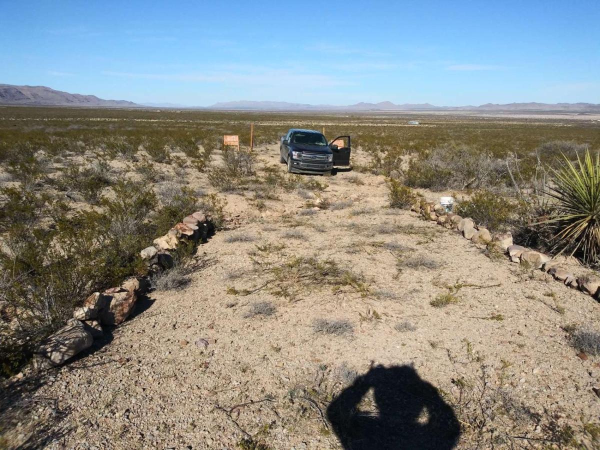 Camping At Desert Gardens Oasis In Lobo, Tx バン・ホーン エクステリア 写真