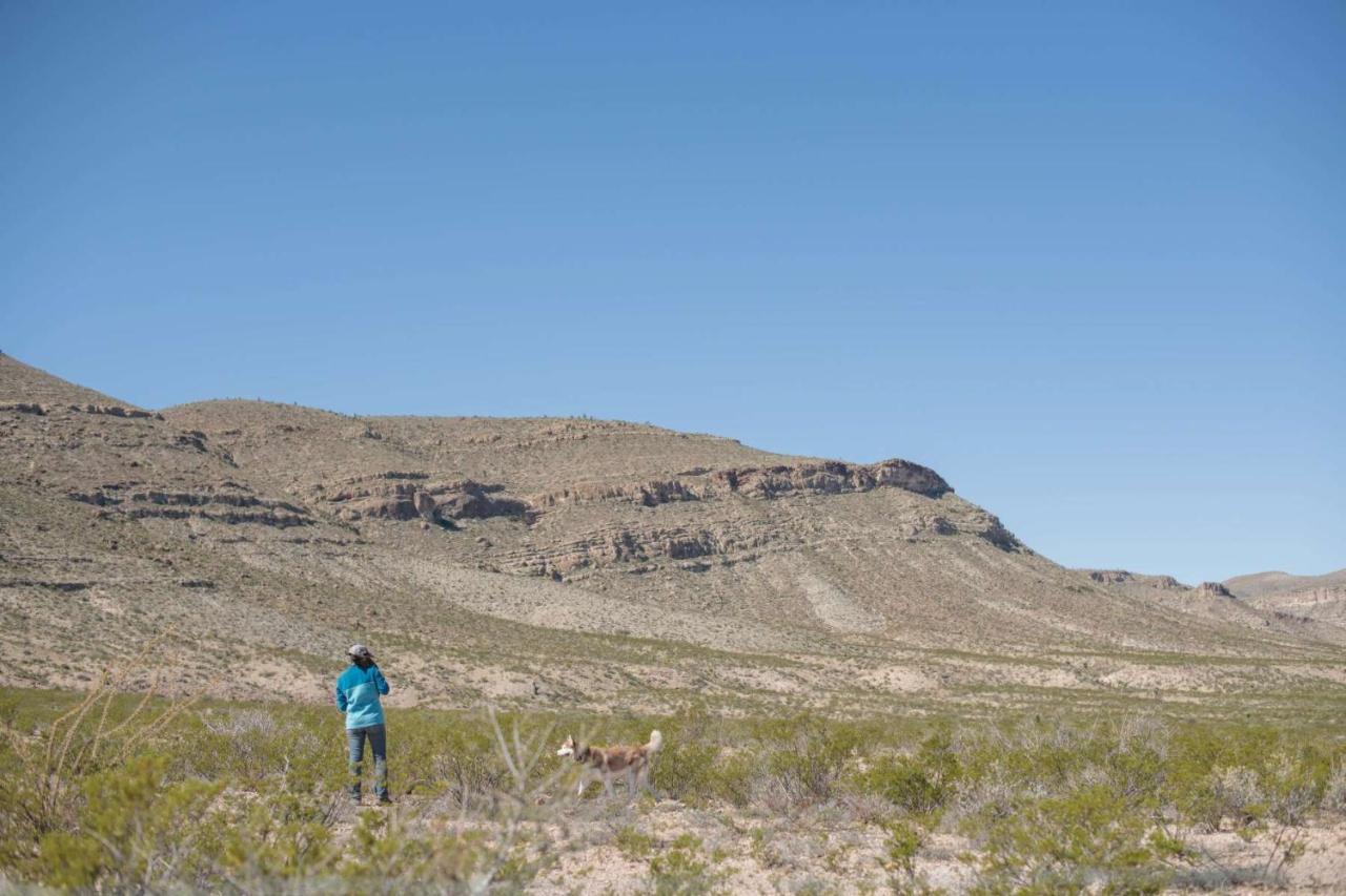 Camping At Desert Gardens Oasis In Lobo, Tx バン・ホーン エクステリア 写真